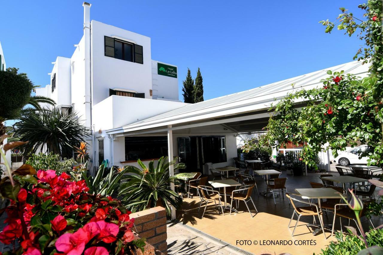 Hostal La Ceiba Кала де Ор Экстерьер фото